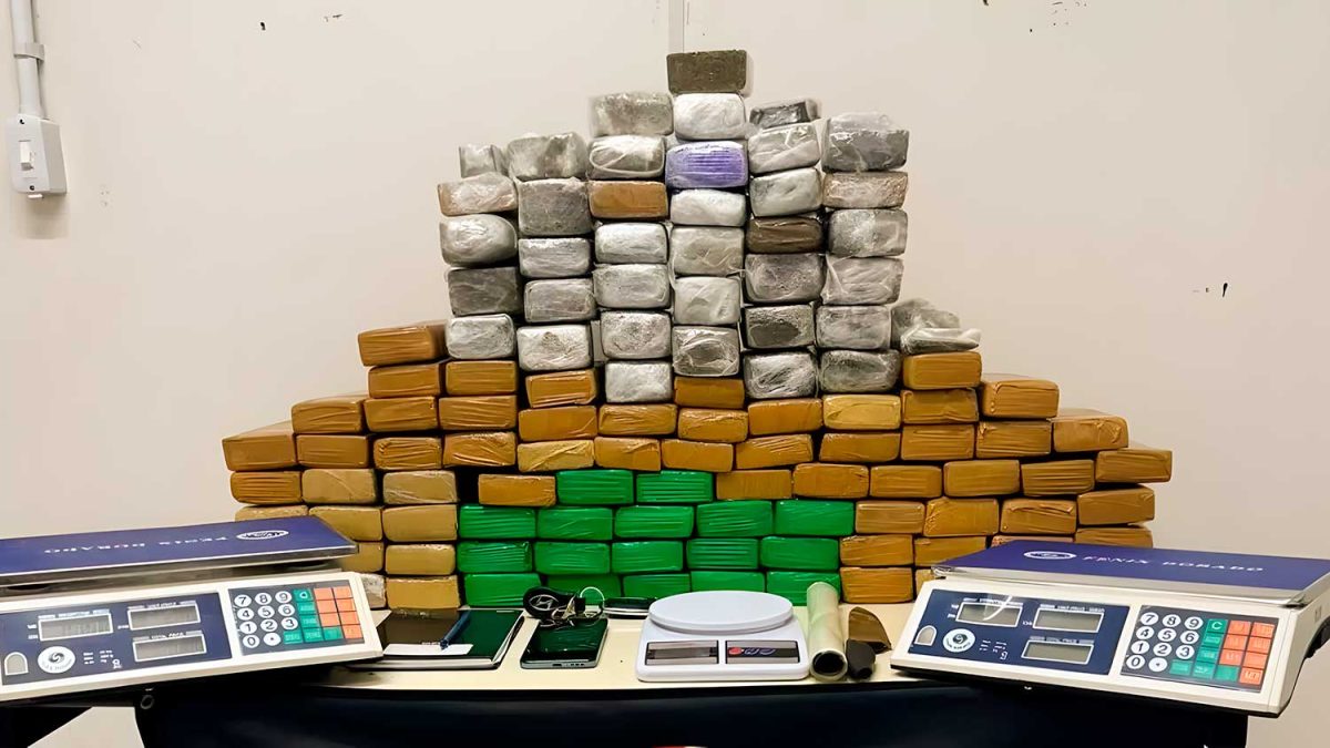 Lesa Pátria em Blumenau, 94 quilos de maconha e expansão do CIB; o que você precisa saber nesta sexta-feira