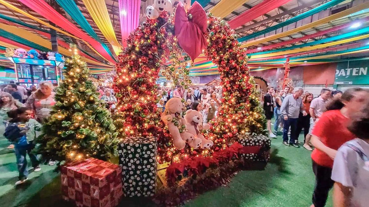 Natal em Blumenau, cardeal de Gaspar e vinho sem nota; o que você precisa saber nesta segunda-feira