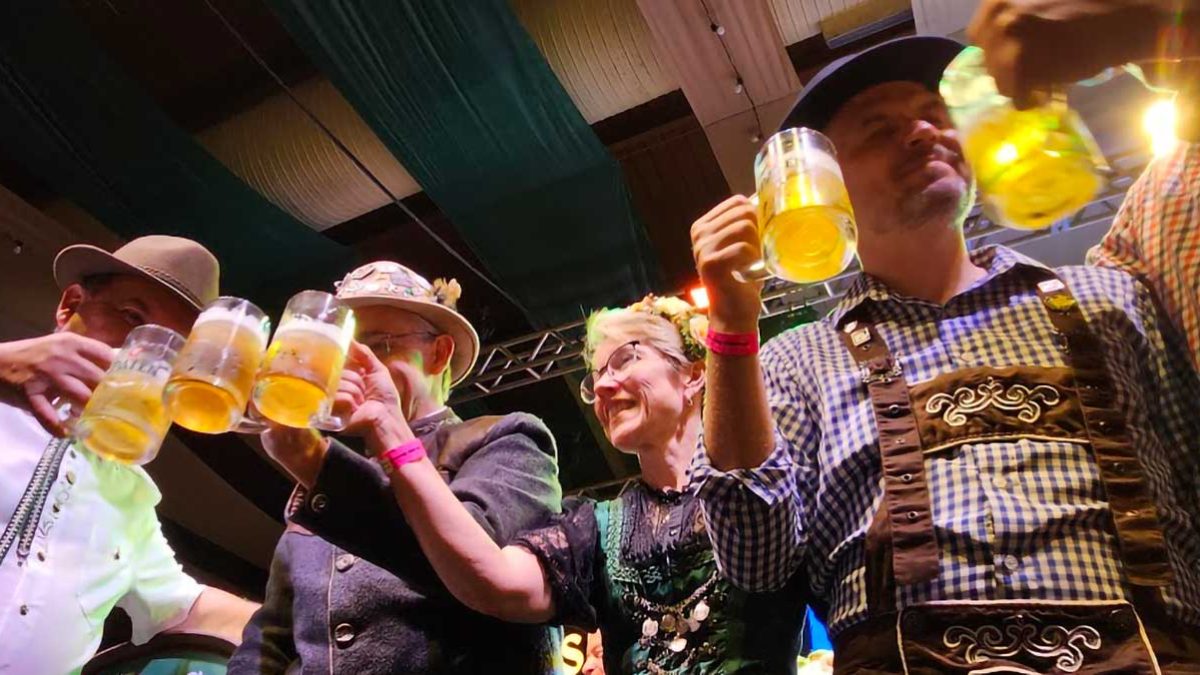 Cervejas de Blu na Oktober; danos morais na BR-470; caçador no parque: o que você precisa saber nesta quinta