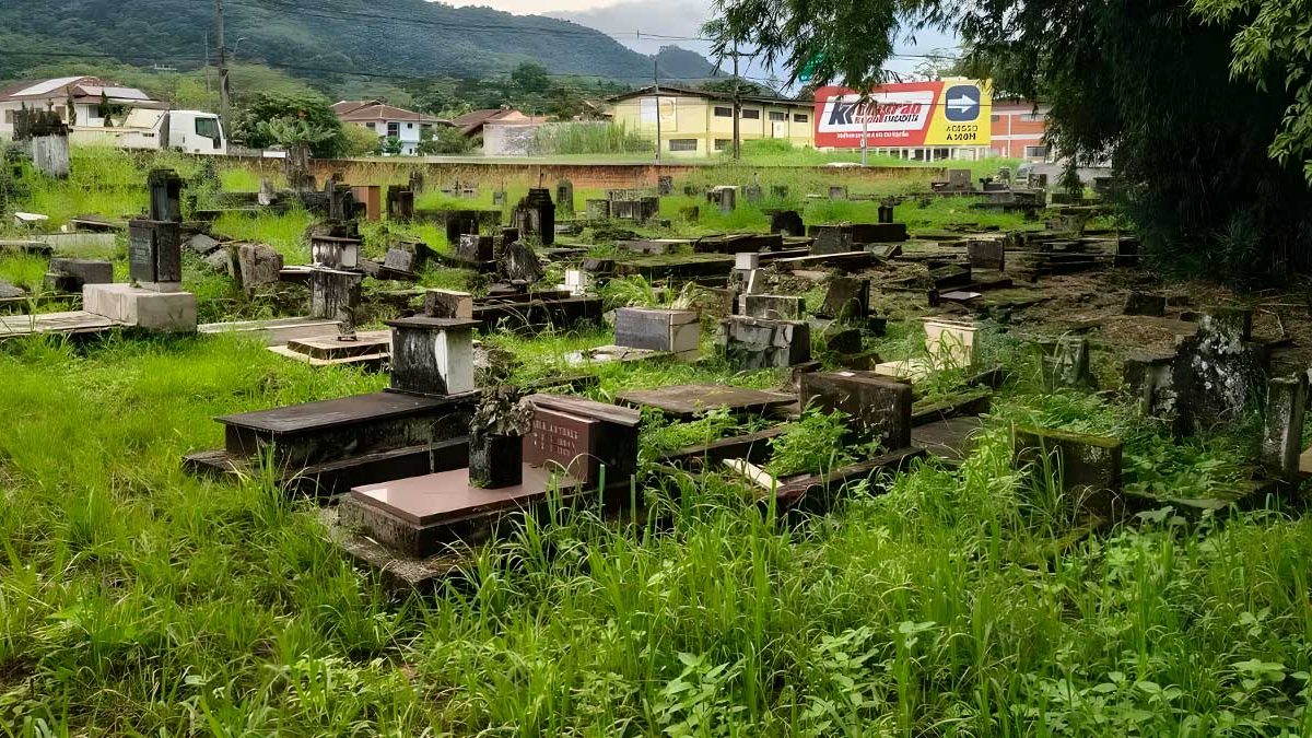Volta do Arcanjo; atraso na BR-470; cemitério desativado: o que você precisa saber nesta quarta-feira
