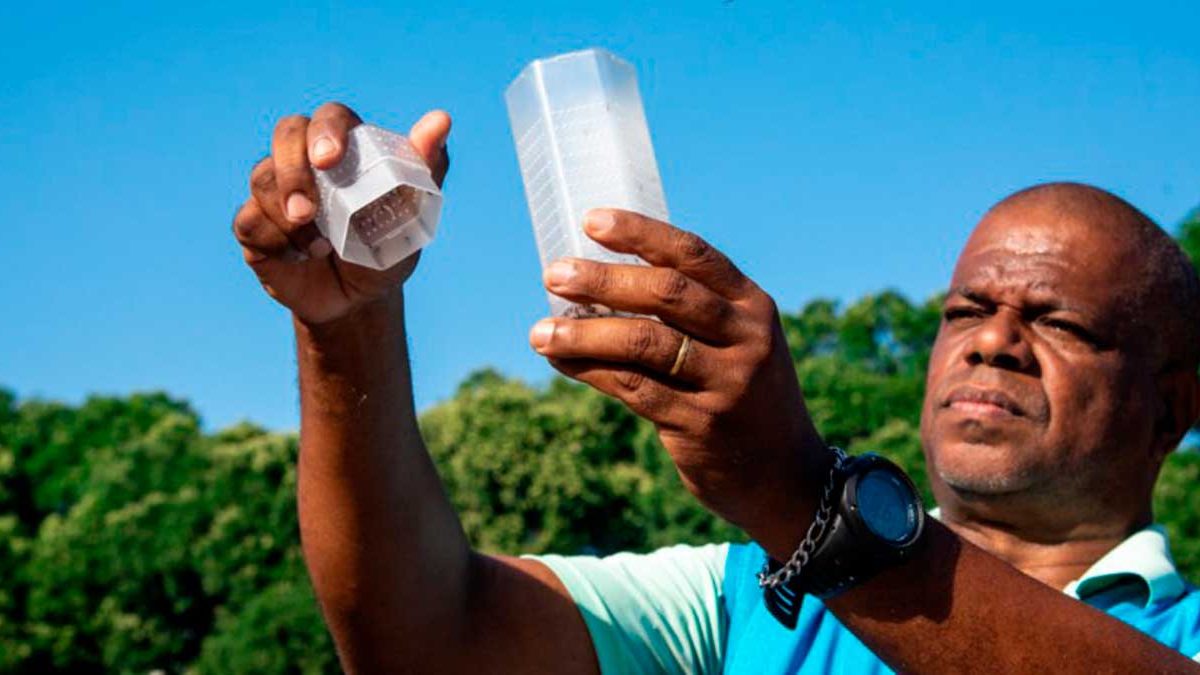 Arma contra a dengue; nova rotatória; multa por abandono de gato: o que você precisa saber nesta sexta-feira