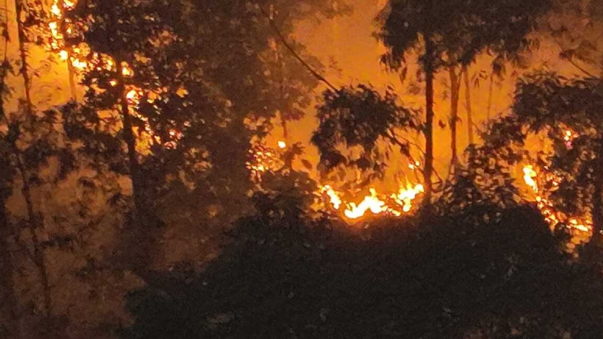 Incêndio na mata; manifestação no Centro;  Metrô nas semifinais: o que você precisa saber nesta segunda