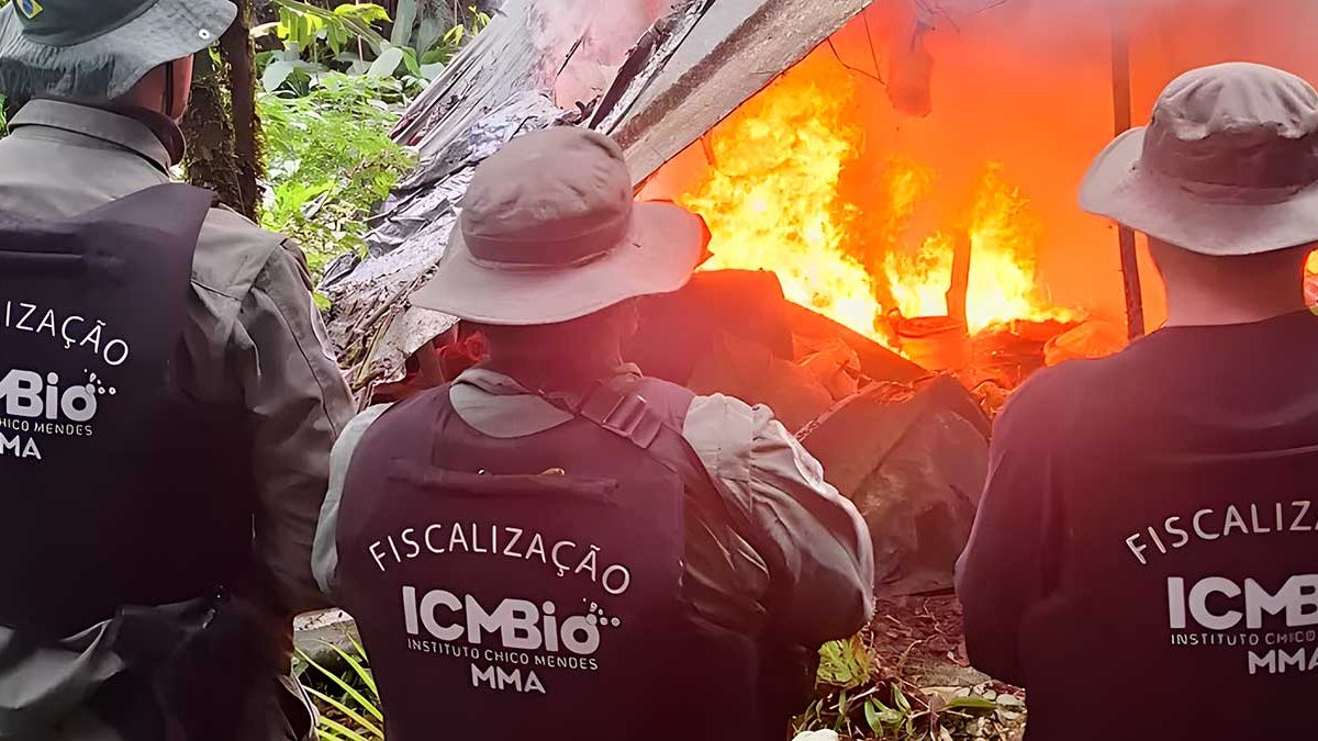 Operação contra crimes ambientais; novos hidrantes; CPI do Esgoto: o que você precisa saber nesta quarta-feira