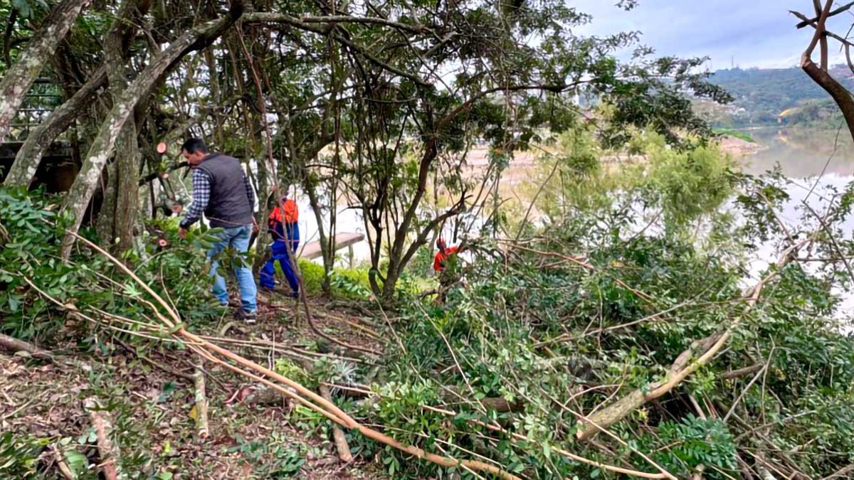 Internação involuntária; corte de árvores; decisão para BEC e Metrô: o que você precisa saber neste “finde”