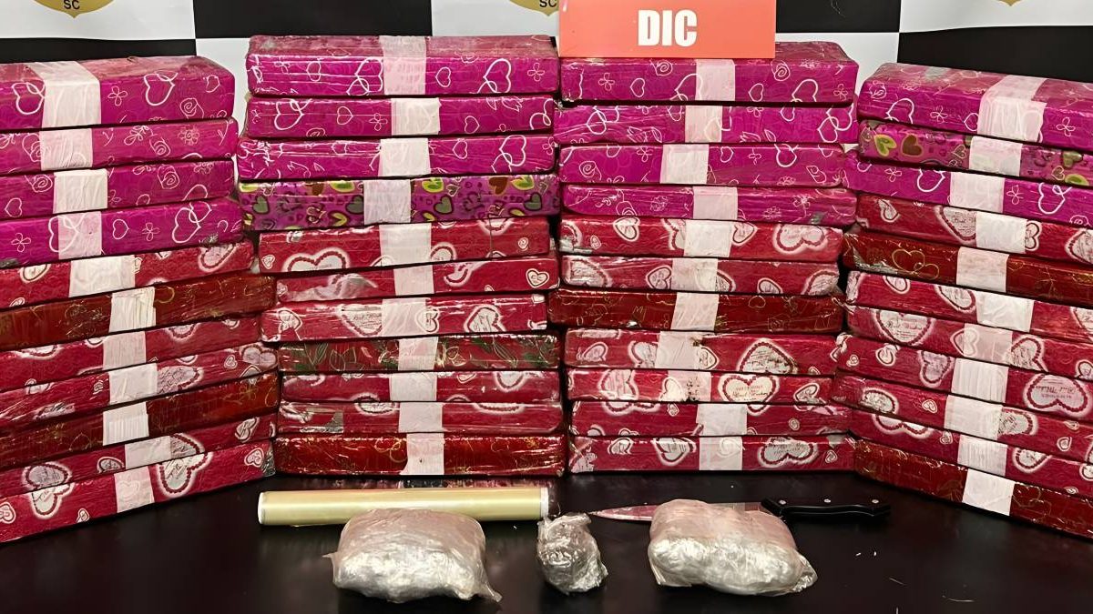 Maconha de “presente”; mortes na BR-470; Desfile de Natal: o que você precisa saber nesta segunda-feira