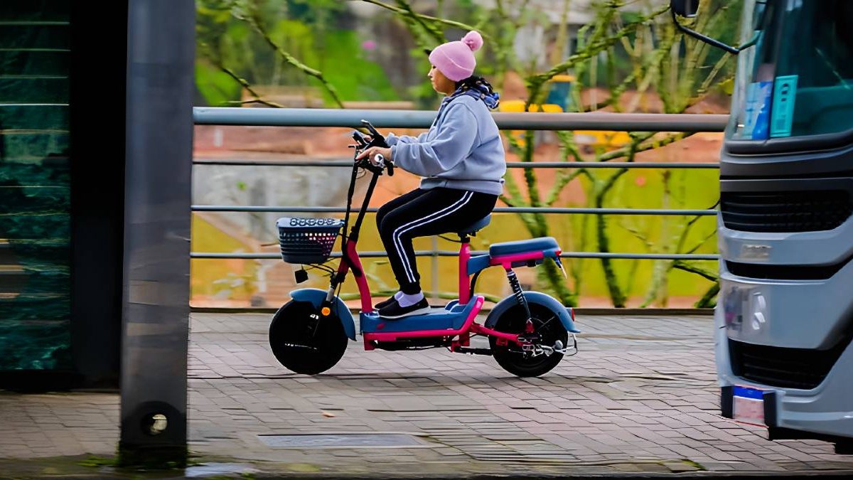 Novas regras para a mobilidade; moeda no Garcia; cão farejador: o que você precisa saber neste “finde”