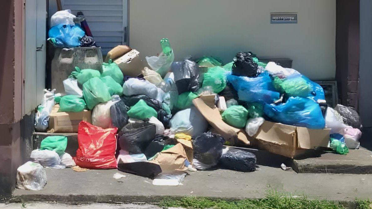 Coleta de lixo defasada; parque sem manutenção; radar desligado: o que você precisa saber nesta quarta-feira