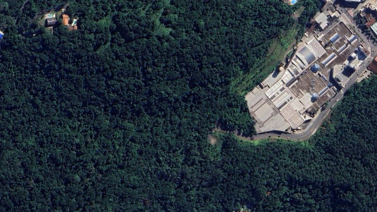 Mato na calçada; parque maior; ampliação de hospital: o que você precisa saber nesta quinta-feira