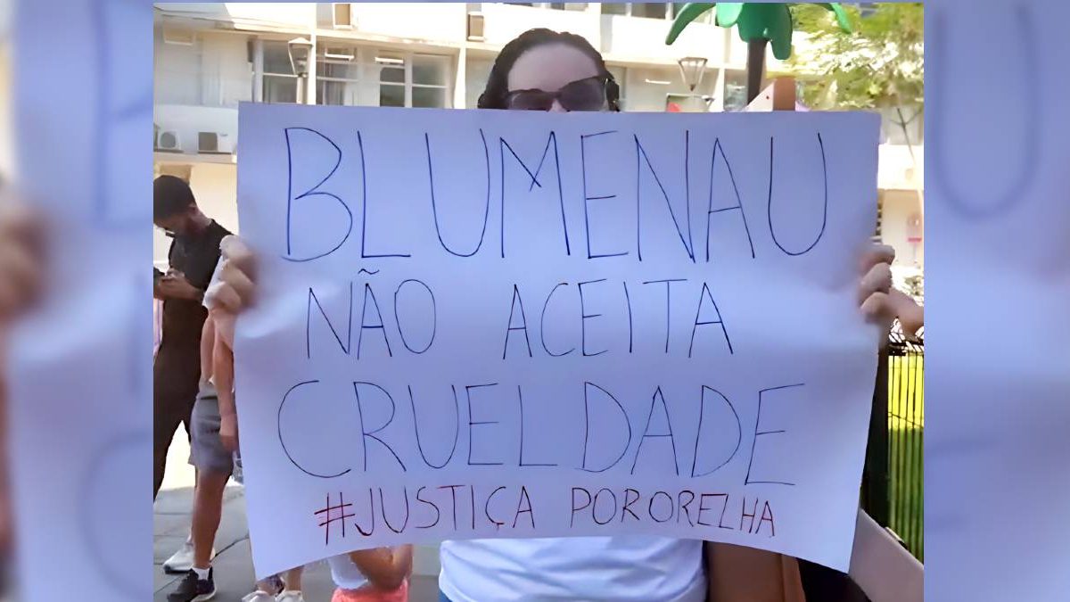 Mão de obra estrangeira; justiça por Orelha; escola inacabada: o que você precisa saber nesta segunda-feira