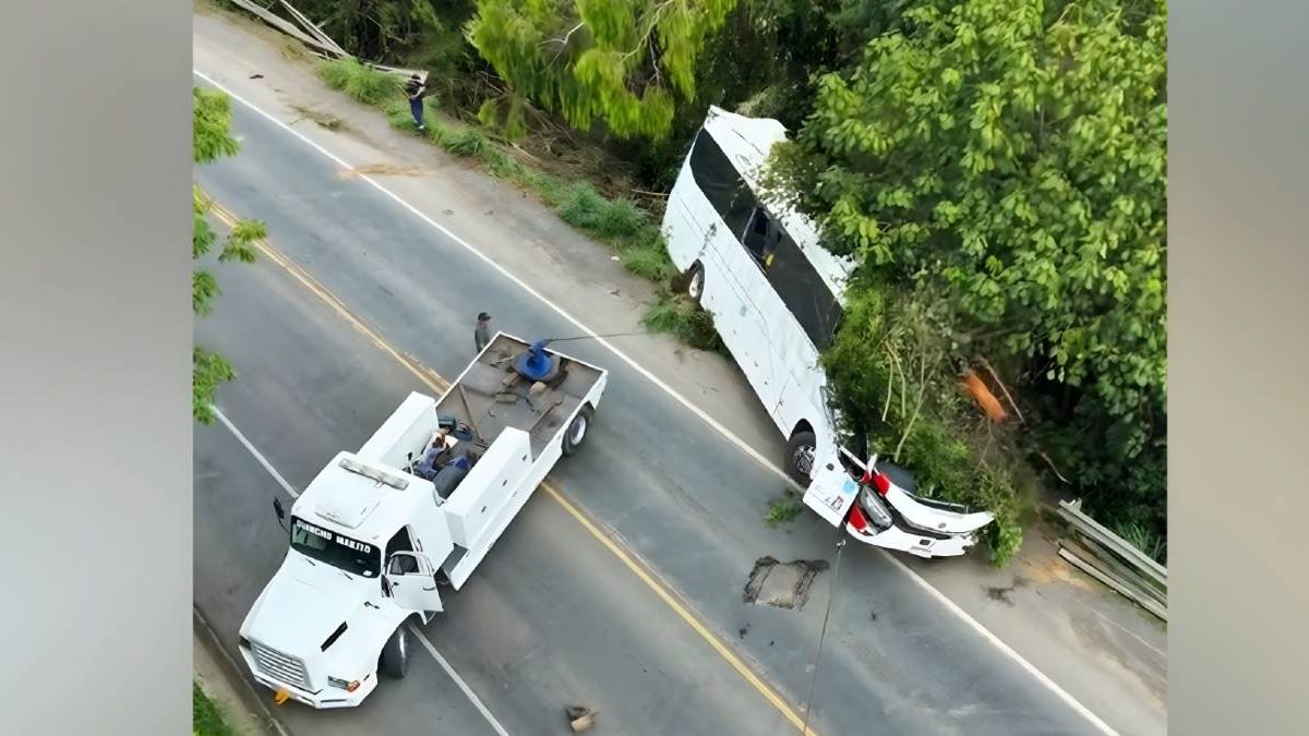 Mortes na BR-470; lombadas de volta; promoção nos cinemas : o que você precisa saber nesta quinta-feira