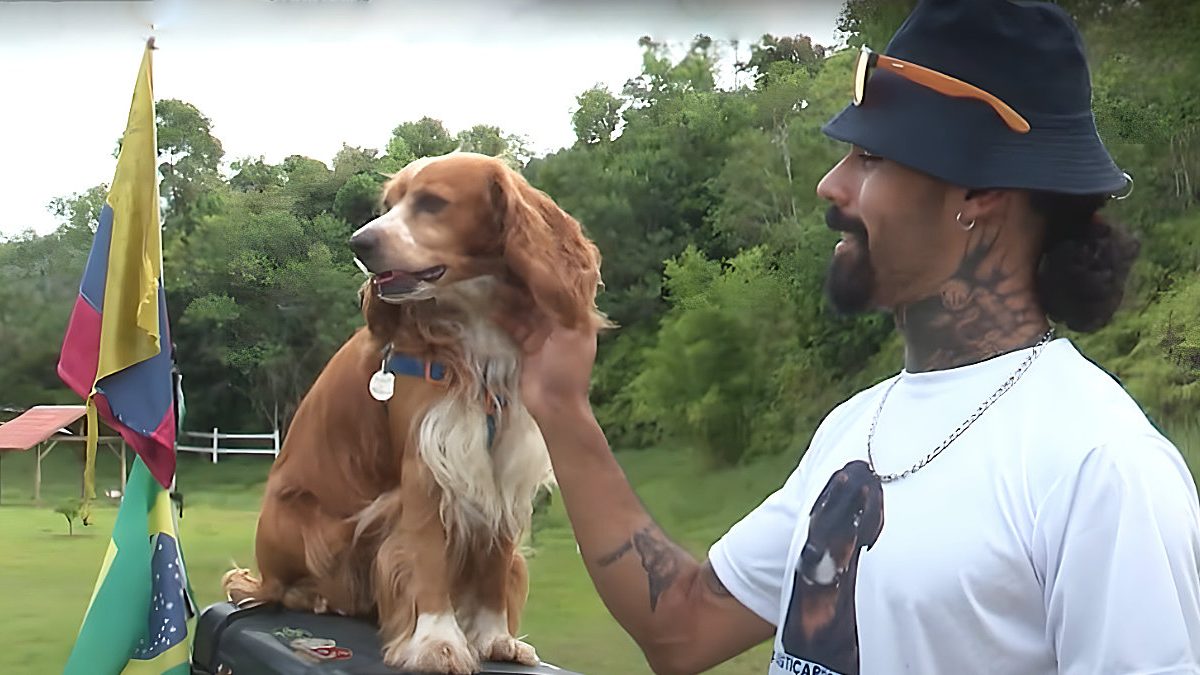 Cão aventureiro; novo hotel; sem escola de samba; homicídio: o que você precisa saber nesta terça-feira