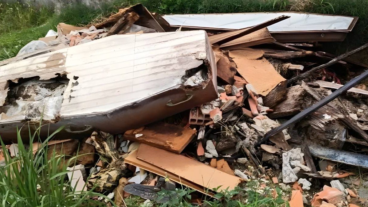 Velocidade média; BR-470; caixão exposto; cão maltratado: o que você precisa saber neste fim de semana