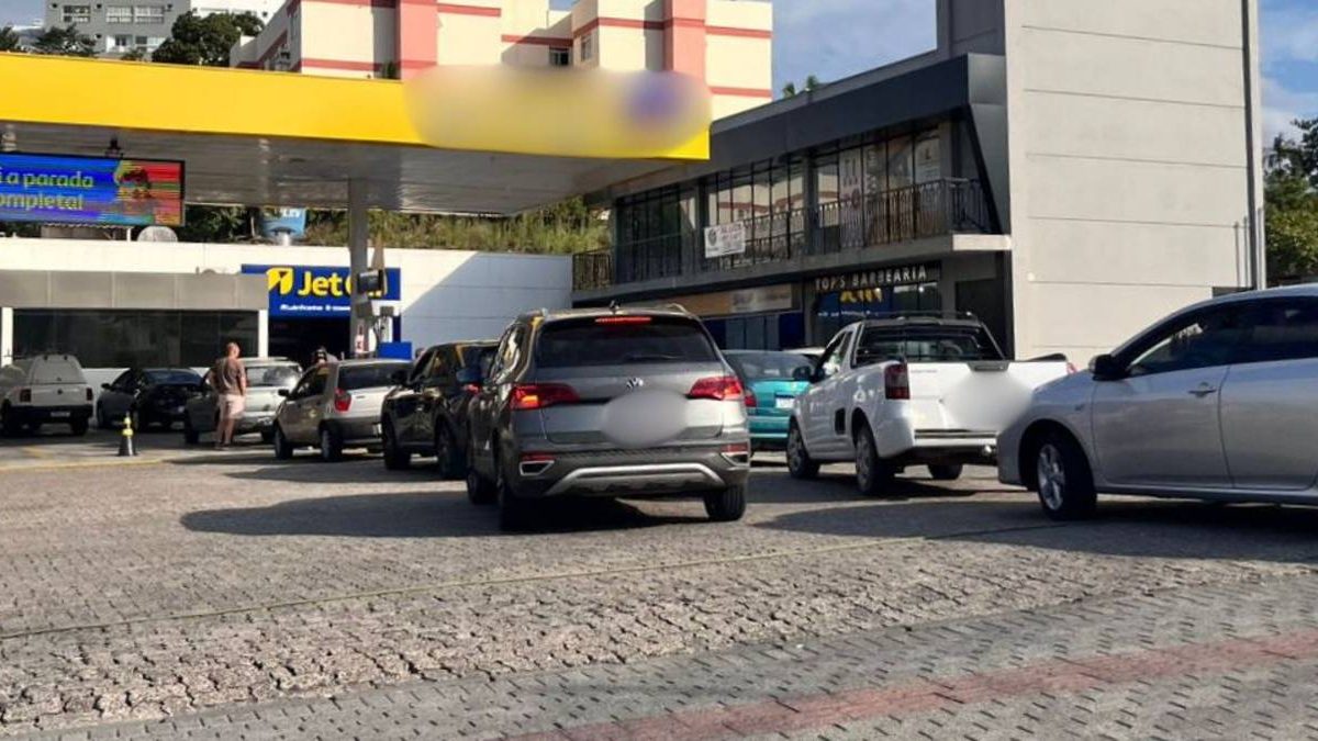 Cadela maltratada; preços dos ovos; filas nos postos; praça para pessoas: o que você precisa saber nesta quinta