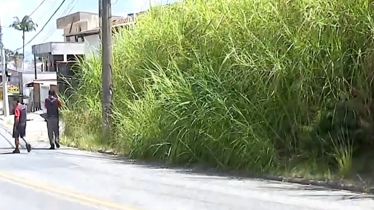 Rouanet na Oktober; mato na calçada; UFSC sem restaurante; incêndio: o que você precisa saber nesta sexta-feira