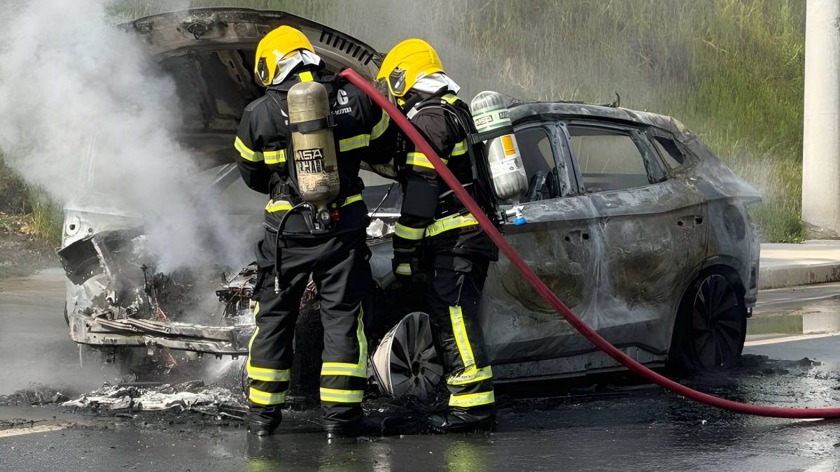 Nudes falsos; Blumob deixa terreno; incêndios; selos raros: o que você precisa saber nesta quarta-feira
