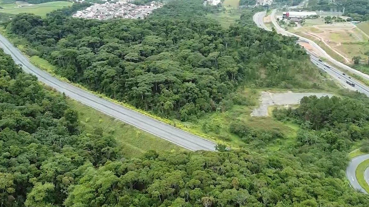 Via Expressa em 2027; Páscoa investigada; Blumenau na Nasa: o que você precisa saber nesta sexta-feira