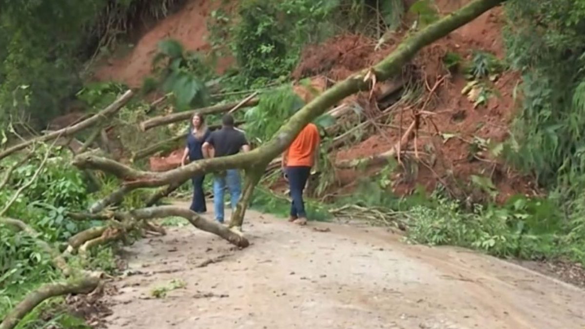 Foco em deslizamentos; cinema premiado; capivaras na Prainha: o que você precisa saber nesta sexta-feira