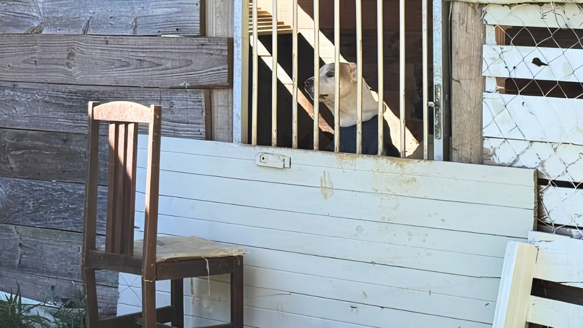 Segurança nas escolas; maus-tratos a animais; cicloturismo: o que você precisa saber nesta quarta-feira