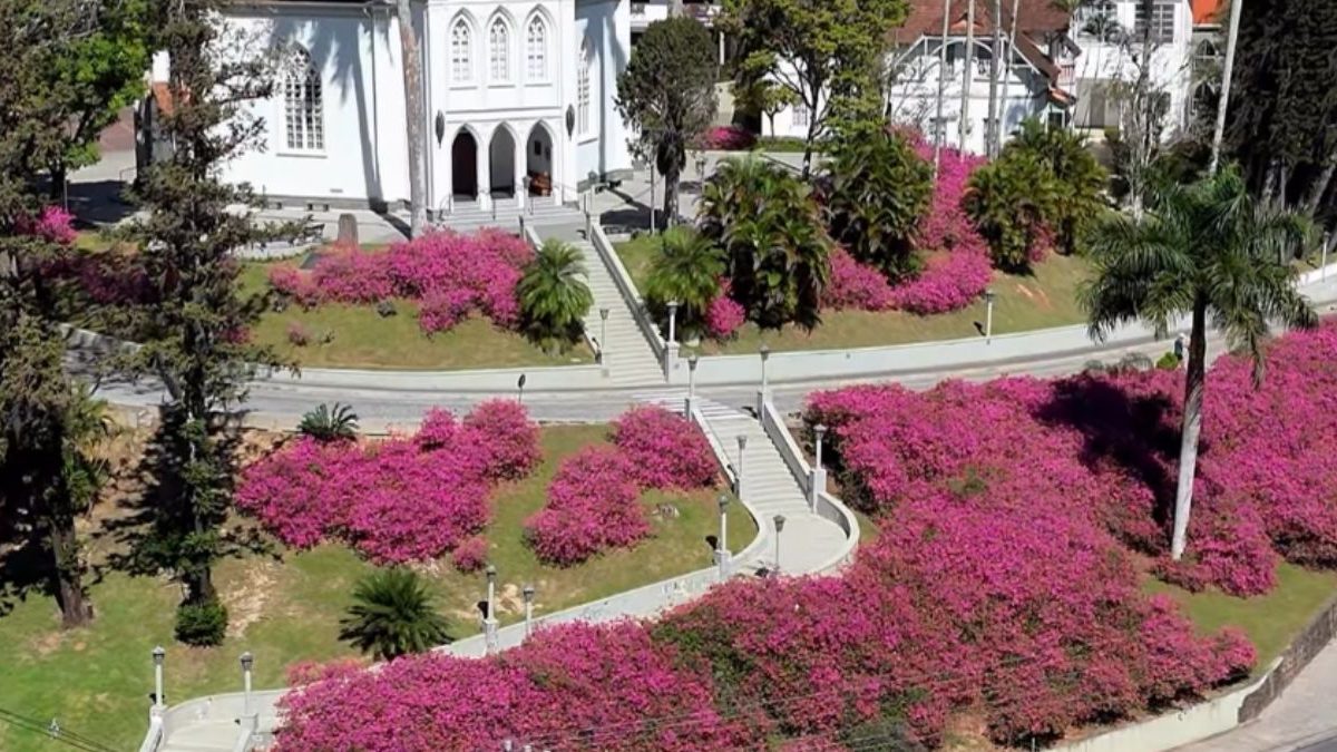 Desaparecidos; turistas; eleição na Furb; azaleias; memórias de 2008: o que você precisa saber nesta quinta