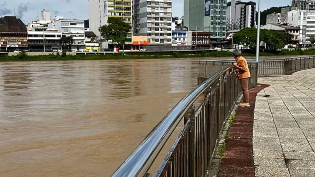 Guarda municipal; cartilha para emergências; fitas para a inclusão: o que você precisa saber nesta terça