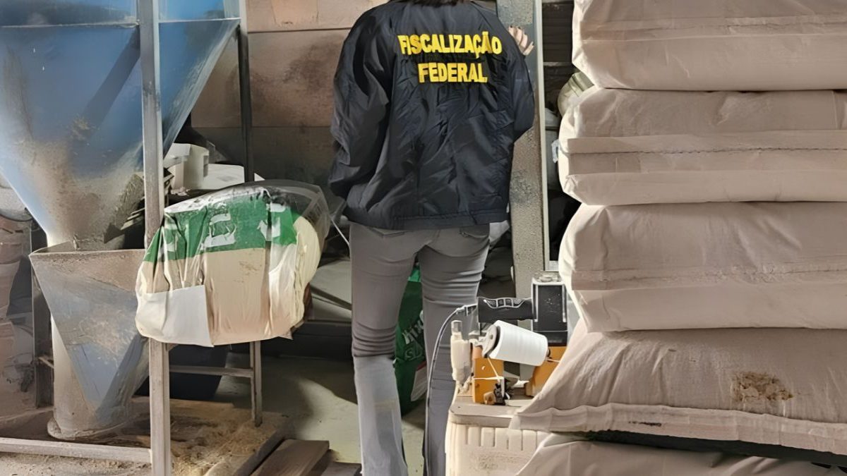 Fábrica clandestina; morte no trânsito; urnas eletrônicas; turismo: o que você precisa saber neste fim de semana